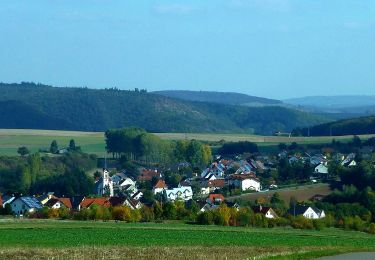 Trail On foot Feilbingert - Panoramaweg Feilbingert - Photo