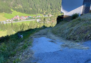 Randonnée Marche Gemeinde Sölden - Solden perlesee 14 Km - Photo