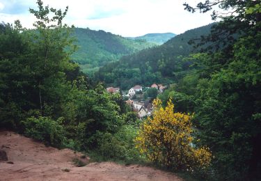 Randonnée A pied Hinterweidenthal - Hinterweidenthaler Teufelstisch-Tour - Photo