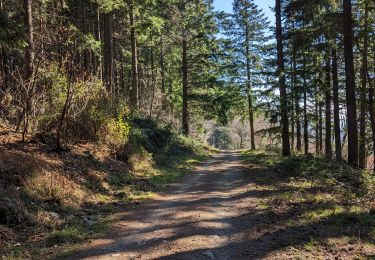 Trail Walking La Cadière-et-Cambo - Cambo - La Collette - Photo