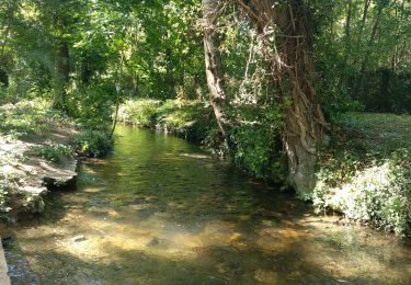 Trail Walking Maintenon - Maintenon, boucle - Photo