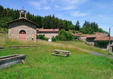 Randonnée Marche Sauvessanges - Sauvesannelles  - Photo