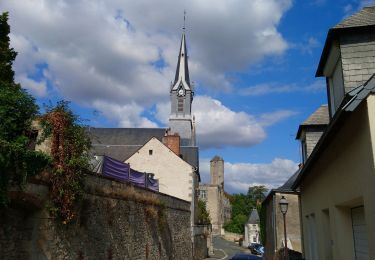 Tocht Stappen Beaumont-Louestault - Beaumont-la-Ronce - PR 2 balisage bleu - 17.8km 190m 4h00 - 2022 09 16 - Photo