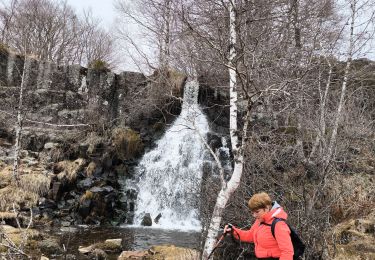 Tocht Stappen Les Hermaux - les Hermaux /cascade du Saltou  - Photo