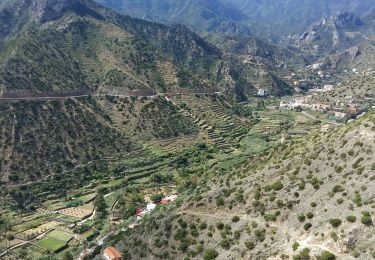 Trail Walking Vallehermoso - La Gomera - Valhermoso Santa Clara (4) 8/5/2019 - Photo