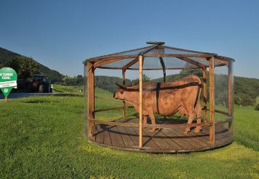 Tour Zu Fuß Gemeinde Prigglitz - Gahnshauswiese - Obertal - Photo