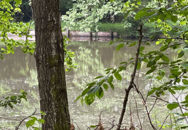 Tocht Stappen Renwez - Parc naturel régional des Ardennes - Photo