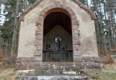 Tocht Stappen Le Hohwald - Le Hohwald Source et Cascade - Photo