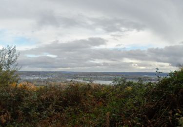 Tour Wandern Orival - 20221117-Les Essarts  - Photo