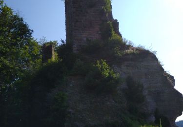 Tour Wandern Langstein - pierre Percée - Photo