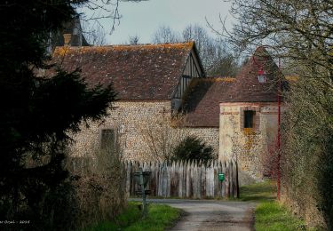 Randonnée Marche L'Hôme-Chamondot - L'Hôme-Chamondot - Tourouvre 12 km - Photo