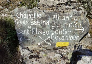 Tocht Stappen Santo-Pietro-di-Venaco - 2021-09-12 - Photo