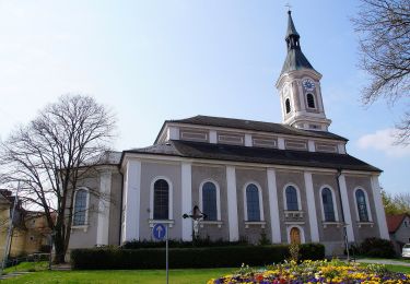 Tour Zu Fuß Regenstauf - O 24 Regenstauf - Maad (Rotes Rechteck) - Photo