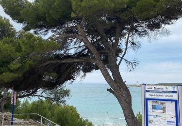 Trail Electric bike Martigues - Martigue - Photo