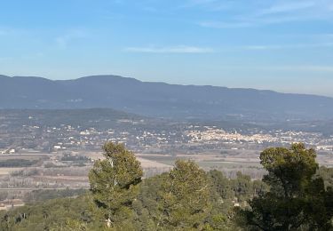Randonnée Marche La Roque-d'Anthéron - PF-La-Roque-d'Anthéron - La Chaîne des Côtes - Reco - Photo