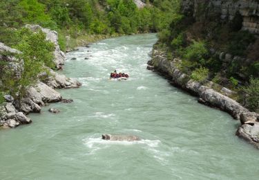 Trail Walking Rougon - Rancoumas - Photo