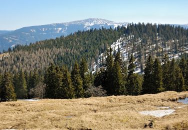 Excursión A pie Gemeinde Spital am Semmering - Steinhaus - Kampalpe - Photo