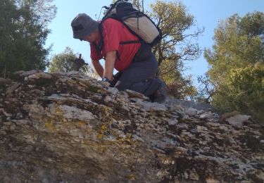 Percorso Marcia Le Revest-les-Eaux - le Revest le Grand Cap - Photo