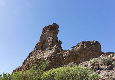 Tour Zu Fuß San Bartolomé de Tirajana - SLCC Chira - Cruz Grande - Photo