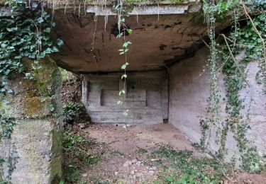 Tour Wandern Vieux-Moulin -  Vieux Moulin - Haut d'Ercet - Senones- Vieux-Moulin - Photo