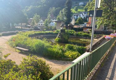 Percorso Marcia Ottenhöfen im Schwarzwald - Karlsruher Gray - Photo