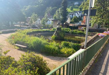 Excursión Senderismo Ottenhöfen im Schwarzwald - Karlsruher Gray - Photo