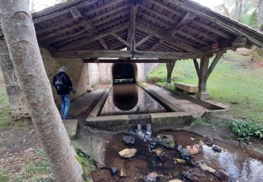 Tour Wandern Saint-Adjutory - Saint Adjutoy  16 110  avec un départ du Maine Cruvier  - Photo