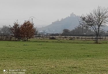 Excursión Senderismo Saint-Romain-le-Puy - precieux - Photo