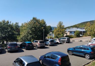 Randonnée Marche Meiningen - Meinningen Rohrer Stirn - Photo