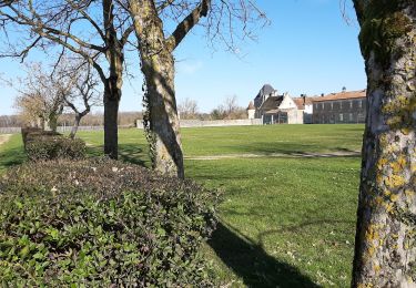 Excursión Senderismo La Couronne - La balade de L'Oisellerie à La couronne  - Photo