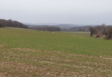 Excursión Senderismo Doische - Matagne la petite120321 - Photo