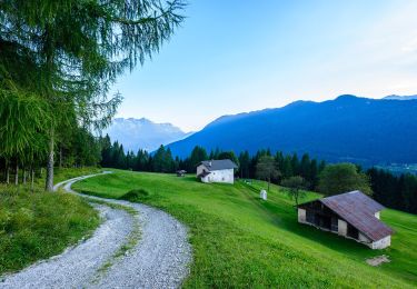 Trail On foot Primiero San Martino di Castrozza - IT-E377 - Photo