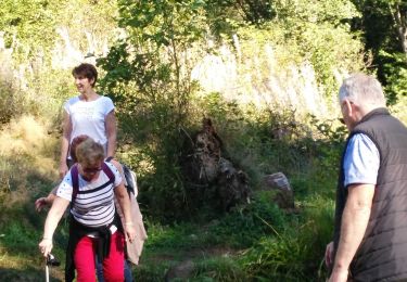 Trail Walking Houffalize - Marche du mardi Paul - Photo