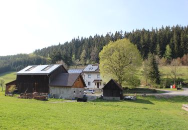 Randonnée A pied Wallenfels - Leutnitztal-Weg RT 12 - Photo