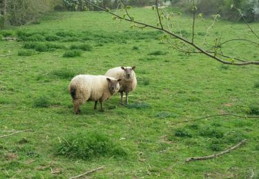 Trail Walking Saint-Hilaire-de-Voust - St Hilaire de Voust  - Photo