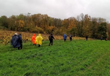 Trail Walking Fossoy - Fossoy du 14/11/2023 - Photo