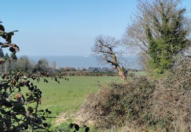 Trail Walking Honfleur - Du_Bois_du_Breuil_à_la_mer - Photo