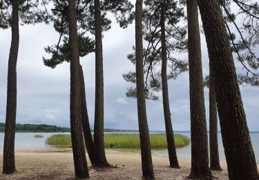 Randonnée V.T.C. Sanguinet - Sanguinet - Bords du Lac - Photo
