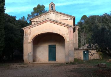 Trail Walking Vidauban - Astros Vidauban - Photo