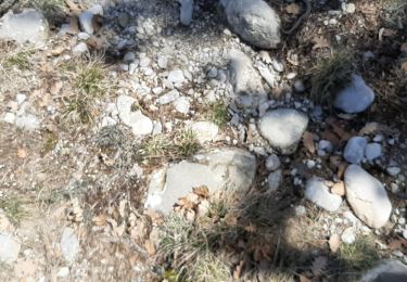 Trail Walking Le Brusquet - LE MOUSTEIRET. Ruine Chalvet .Col de l Escuichiere . Le Villard o m s  - Photo