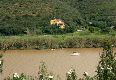 Trail On foot Alcoutim e Pereiro - Ladeiras do Pontal - Photo