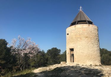 Trail On foot Fontvieille - Les moulins et l'aqueduc romain - Photo