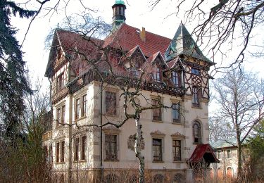 Tocht Te voet Onbekend - Dresdner Heide, Diebsteig - Photo