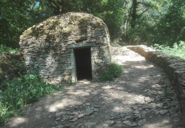 Tour Wandern Saint-Didier-au-Mont-d'Or - Mt dOr 15=5=22 - Photo