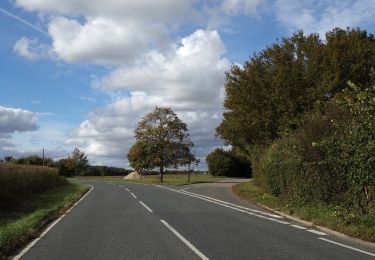 Percorso A piedi Braintree - John Ray Walk - Photo