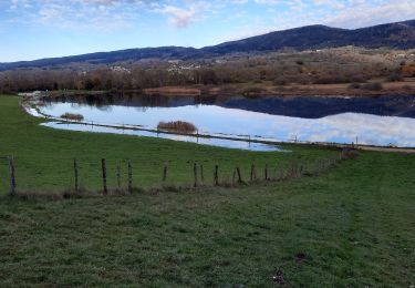 Trail Walking Plateau d'Hauteville - tour des LÉSINES - Photo