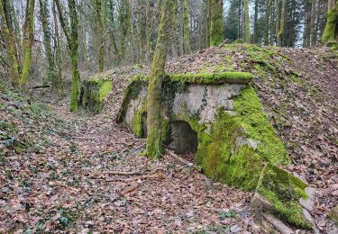 Percorso Marcia Châlonvillars - Châlonvillars - Fort du Salbert - Evette-Salbert - Photo