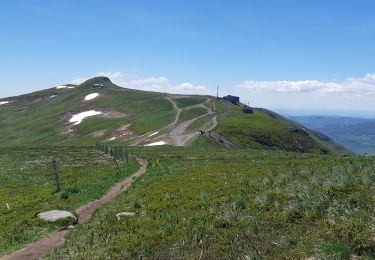 Trail Walking Paulhac - circuit du plomb du cantal - Photo