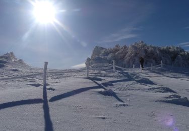 Randonnée Raquettes à neige Léoncel - Le Grand Echaillon - Les Crêtes de la Sausse - Photo