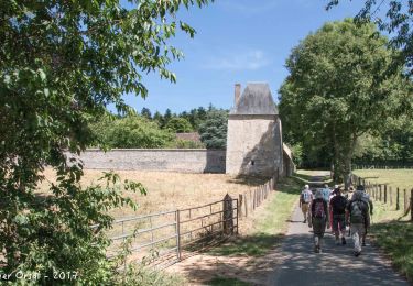 Trail Walking Mortagne-au-Perche - Mortagne-au-Perche - Tourouvre (TCP) 25 km - Photo